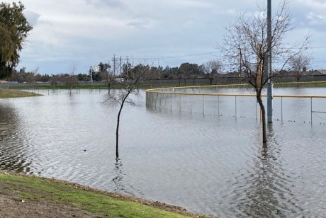 The Hanford Weather Service predicts more rain to continue in California, Valley A view of the Lions Park softball facility under water earlier this week.